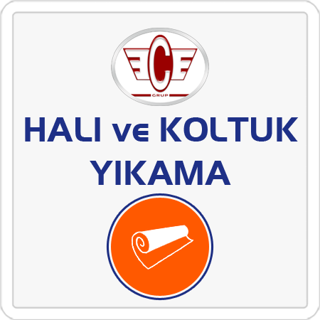 ece halı ve koltuk yıkama